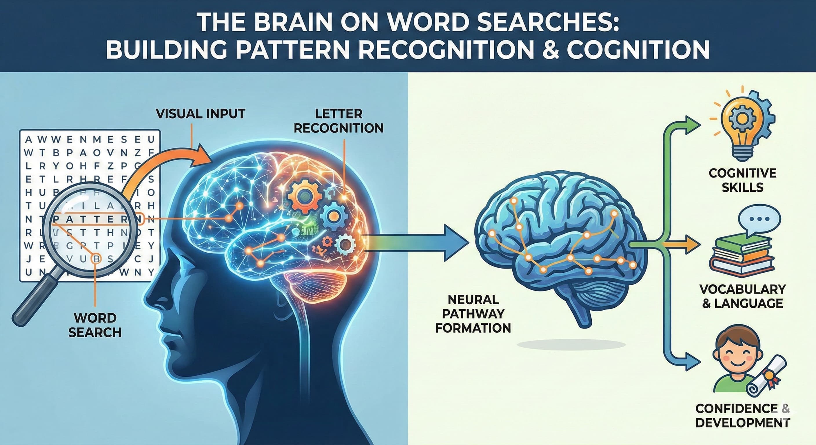 The Science Behind Word Searches: Pattern Recognition and Literacy